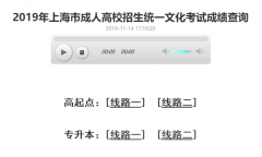 2019年上海成人高考成绩查询入口