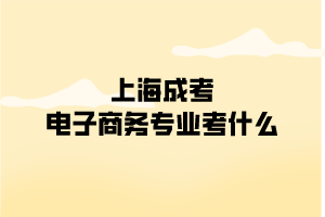 上海成考电子商务专业考什么