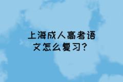 上海成人高考语文怎么复习？
