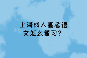 上海成人高考语文怎么复习