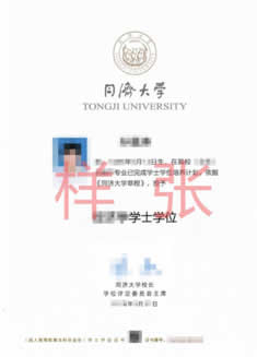 学位证样张