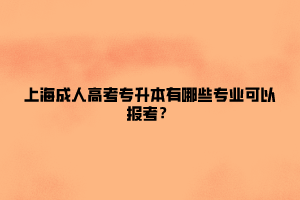 上海成人高考专升本有哪些专业可以报考？