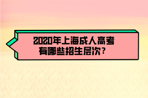2020年上海成人高考有哪些招生层次？