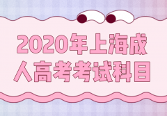 2020年上海成人高考考试科目