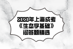 2020年上海成考《生态学基础》问答题精选(2)