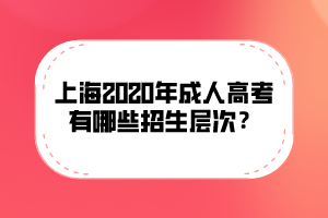 上海2020年成人高考有哪些招生层次？