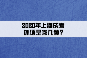 2020年上海成考外语是哪几种?