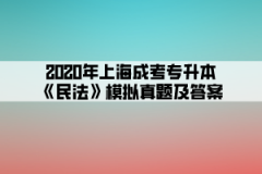 2020年上海成考专升本《民法》模拟真题及答案(4)