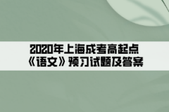 2020年上海成考高起点《语文》预习试题及答案（2）