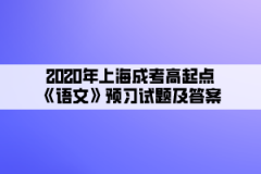 2020年上海成考高起点《语文》预习试题及答案（1）