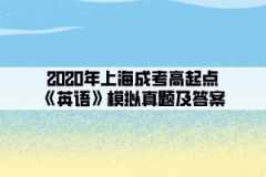 2020年上海成考高起点《英语》模拟真题及答案(4)