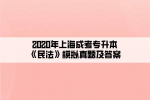 2020年上海成考专升本《民法》模拟真题及答案