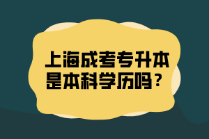 上海成考专升本是本科学历吗？