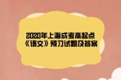 2020年上海成考高起点《语文》预习试题及答案（12）