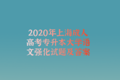 2020年上海成人高考专升本大学语文强化试题及答案(1)