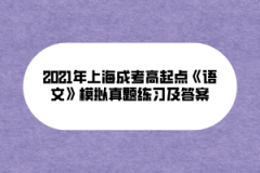 2021年上海成考高起点《语文》模拟真题练习及答案(1)