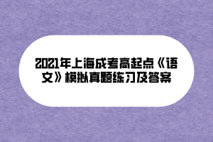 2021年上海成考高起点《语文》模拟真题练习及答案