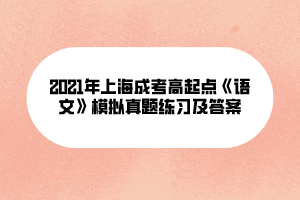 2021年上海成考高起点《语文》模拟真题练习及答案