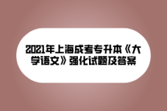 2021年上海成考专升本《大学语文》强化试题及答案(2)