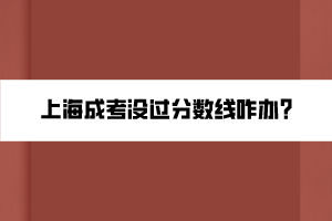 上海成考没过分数线咋办?