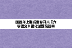 2021年上海成考专升本《大学语文》强化试题及答案(8)