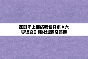 2021年上海成考专升本《大学语文》强化试题及答案