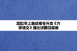 2021年上海成考专升本《大学语文》强化试题及答案
