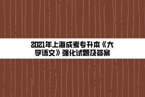 2021年上海成考专升本《大学语文》强化试题及答案