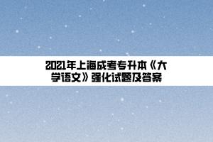 2021年上海成考专升本《大学语文》强化试题及答案