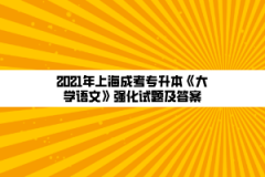 2021年上海成考专升本《大学语文》强化试题及答案(12)