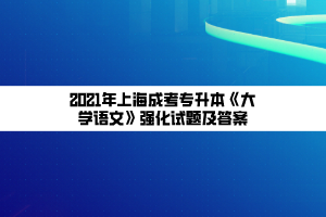 2021年上海成考专升本《大学语文》强化试题及答案