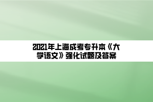 2021年上海成考专升本《大学语文》强化试题及答案