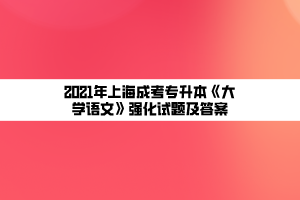 2021年上海成考专升本《大学语文》强化试题及答案