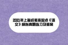 2021年上海成考高起点《语文》模拟真题练习及答案(7)