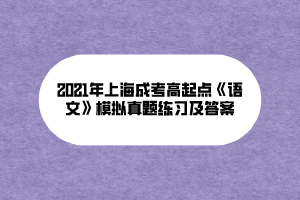 2021年上海成考高起点《语文》模拟真题练习及答案