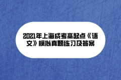 2021年上海成考高起点《语文》模拟真题练习及答案(8)
