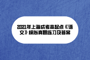 2021年上海成考高起点《语文》模拟真题练习及答案