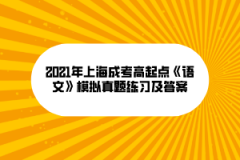 2021年上海成考高起点《语文》模拟真题练习及答案(9)
