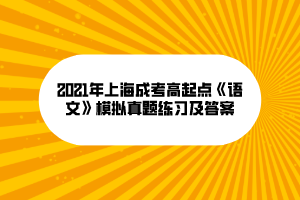 2021年上海成考高起点《语文》模拟真题练习及答案