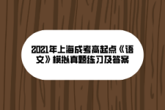 2021年上海成考高起点《语文》模拟真题练习及答案(10)