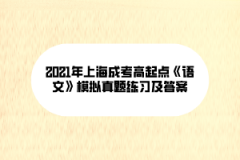 2021年上海成考高起点《语文》模拟真题练习及答案(11)