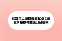 2021年上海成考高起点《语文》模拟真题练习及答案(12)