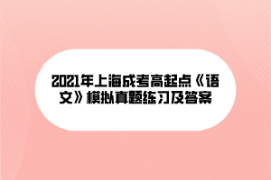 2021年上海成考高起点《语文》模拟真题练习及答案