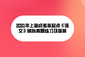 2021年上海成考高起点《语文》模拟真题练习及答案