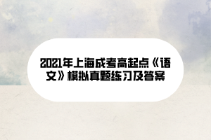 2021年上海成考高起点《语文》模拟真题练习及答案