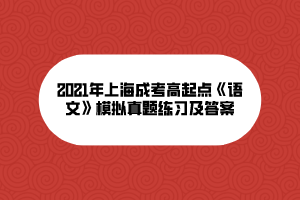 2021年上海成考高起点《语文》模拟真题练习及答案