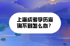 上海成考学历查询不到怎么办？