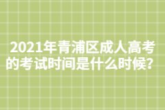 2021年青浦区成人高考的考试时间是什么时候？