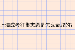 上海成考征集志愿是怎么录取的?