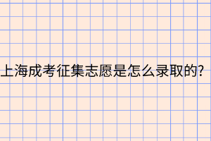 上海成考征集志愿是怎么录取的?